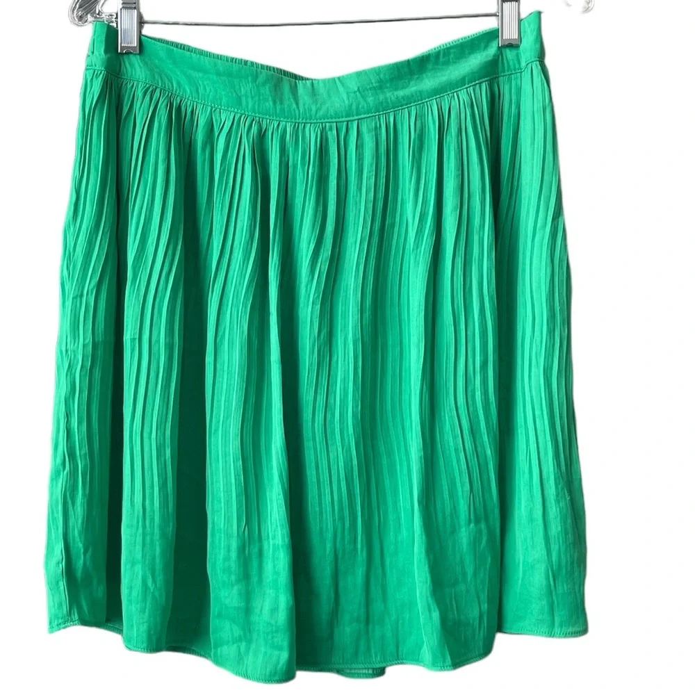 NWT RACHEL ZOE SKIRT /lined - Picture 1 of 4